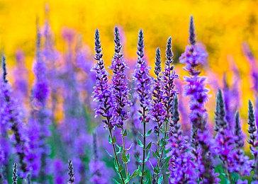 BioWare新《质量效应》可能采用虚幻引擎开发