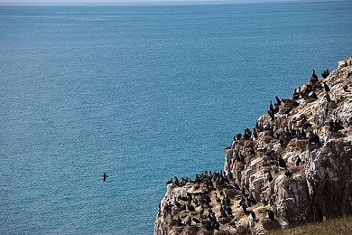 《忍者龟：施莱德的复仇》中文语音Steam更新上线 87版“辽艺”配音演员献声！